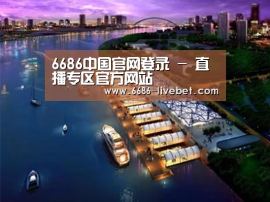 案例展示八